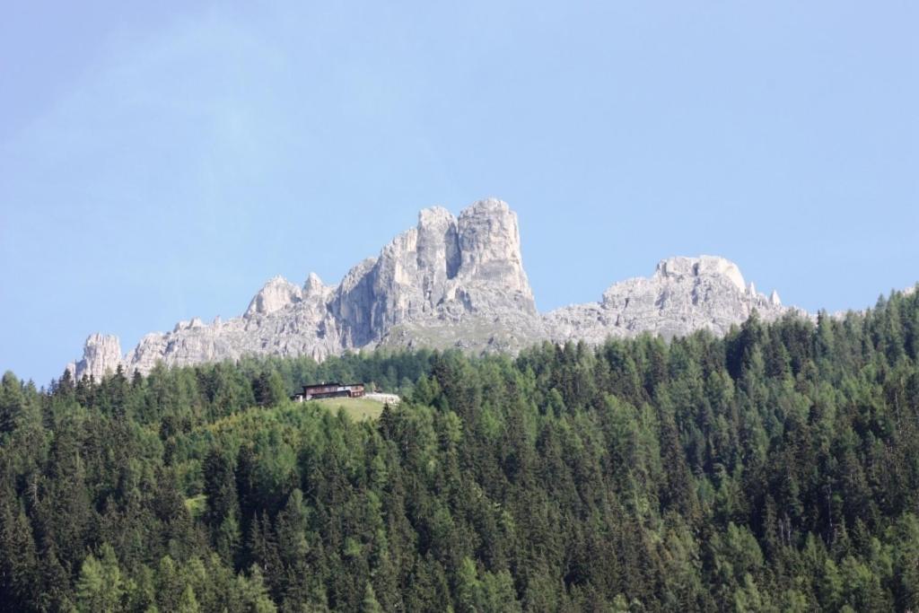 Alpensonne Neustift im Stubaital