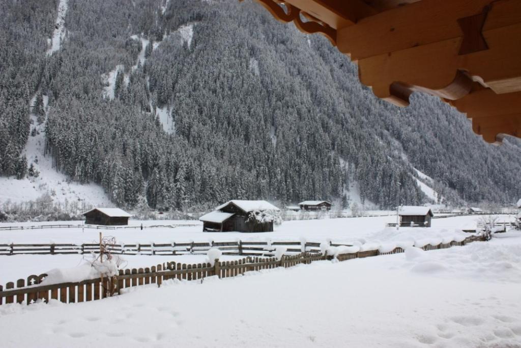 Alpensonne Neustift im Stubaital