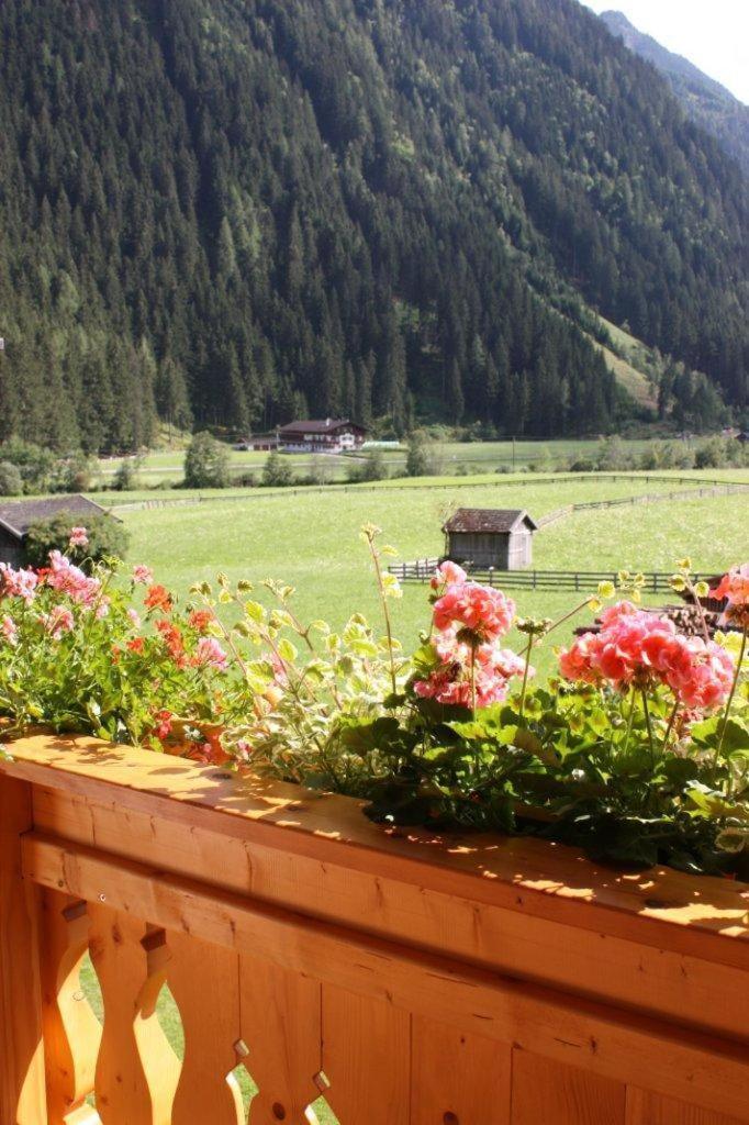Apartment Alpensonne