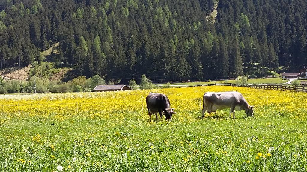 Alpensonne *