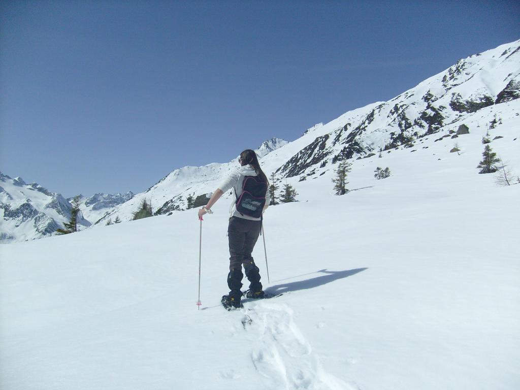 Alpensonne *