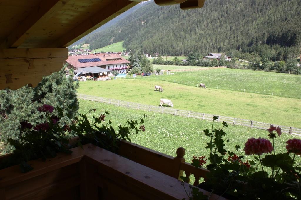Alpensonne