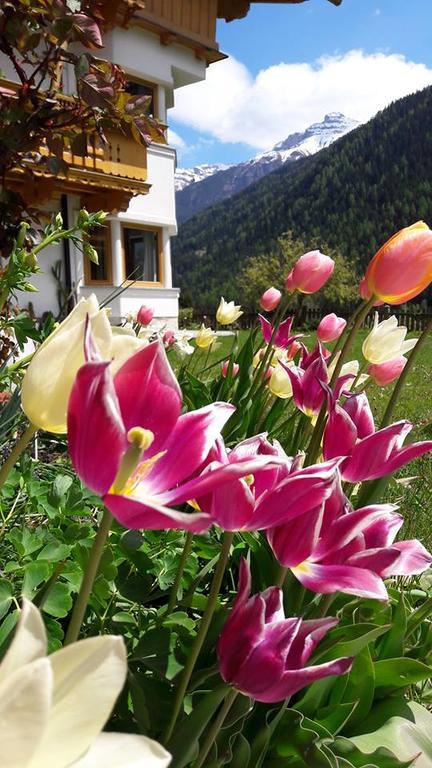 Alpensonne Neustift im Stubaital
